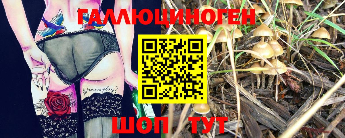 Псилоцибиновые грибы прущие грибы  Вход с VPN  Наро-Фоминск  Галлюциногенные грибы Cubensis 
