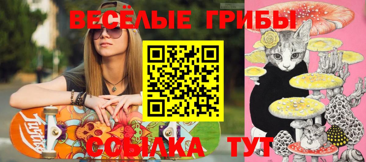 Псилоцибиновые грибы Psilocybe Наро-Фоминск
